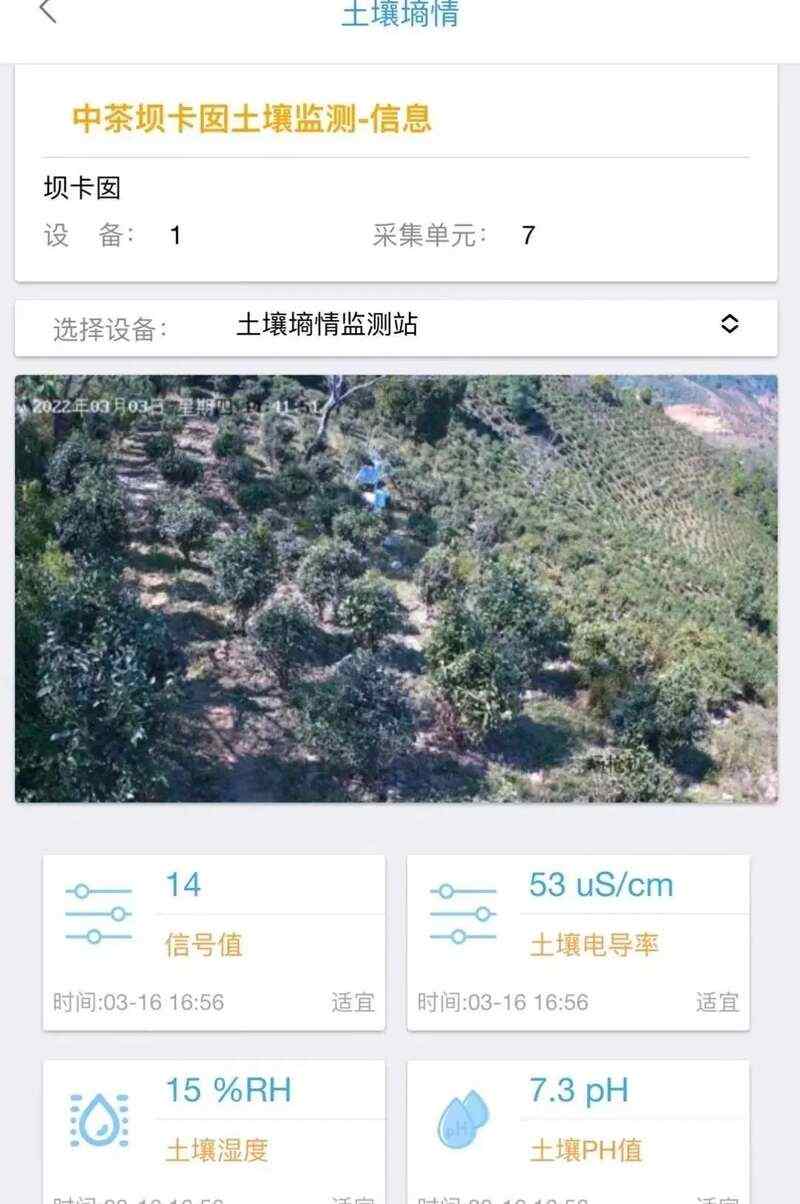 云南大叶种晒青茶风味地域差异研究取得突破——王白娟教授团队联合云南中茶揭示环境对茶叶风味的影响机制