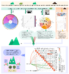 云南大叶种晒青茶风味地域差异研究取得突破——王白娟教授团队联合云南中茶揭示环境对茶叶风味的影响机制