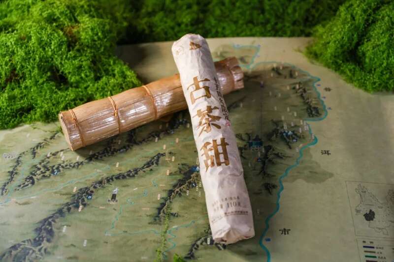 六大茶山：一柱古树甜，生活回甘剂