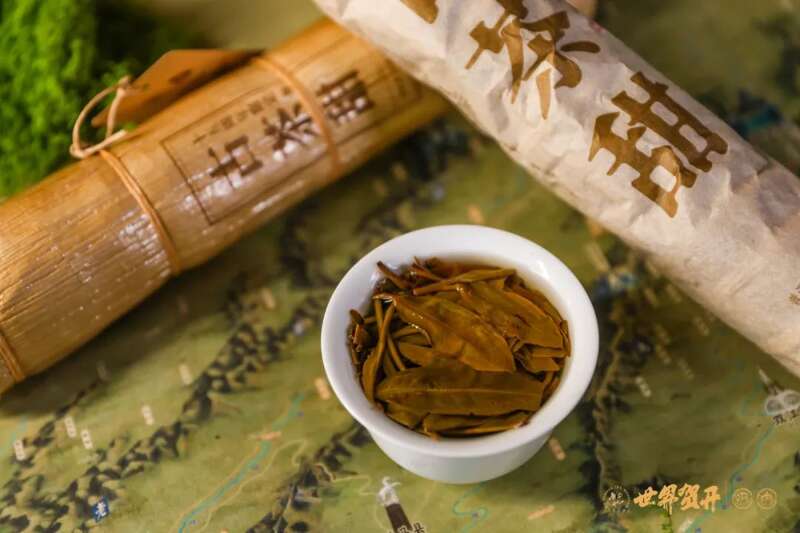 六大茶山：一柱古树甜，生活回甘剂