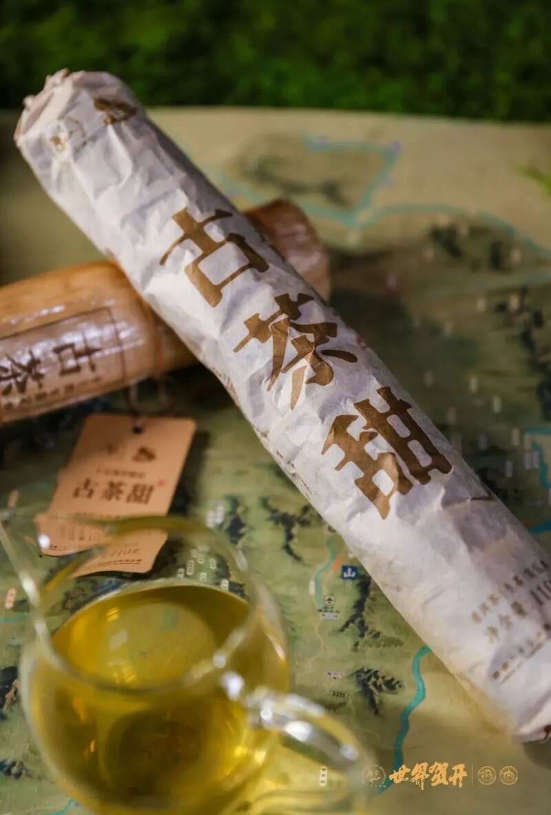 六大茶山：一柱古树甜，生活回甘剂