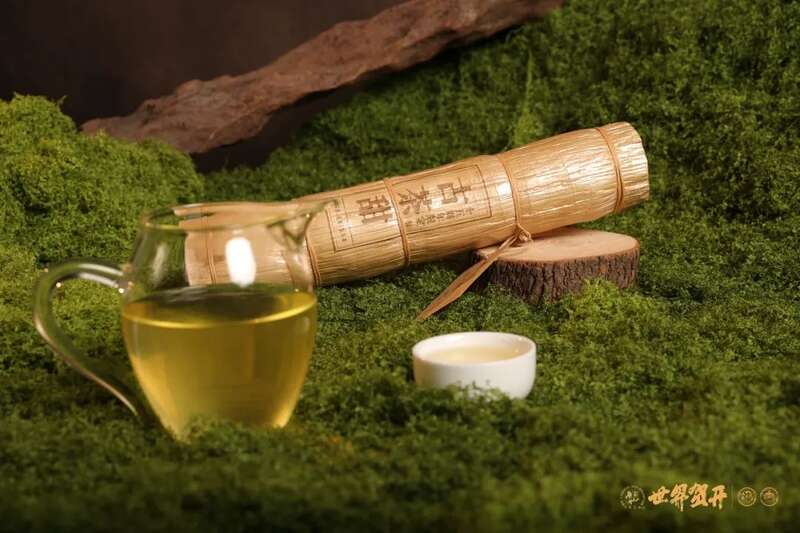 六大茶山：一柱古树甜，生活回甘剂