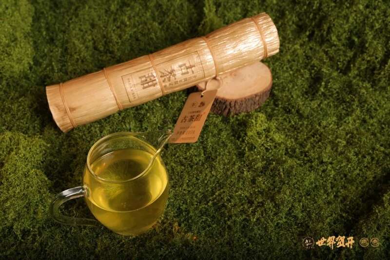 六大茶山：一柱古树甜，生活回甘剂