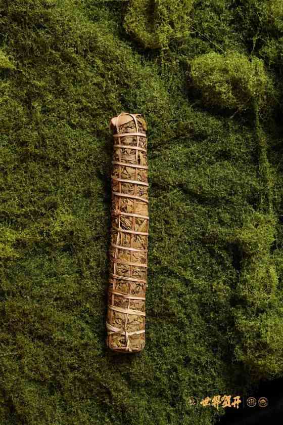 六大茶山：一柱古树甜，生活回甘剂