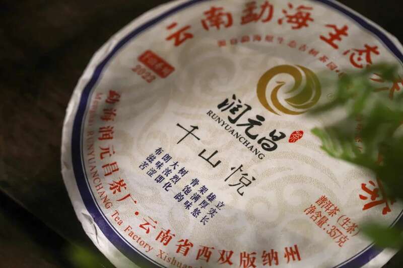 润元昌千山悦新品上市：口碑经典，延续归来，一如既往「悦」动人心