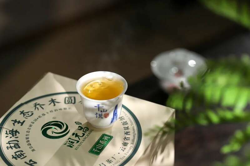 润元昌千山悦新品上市：口碑经典，延续归来，一如既往「悦」动人心