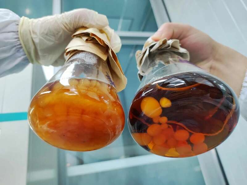 中茶云南亮相中国航天大会 共绘茶与航天科技融合新蓝图