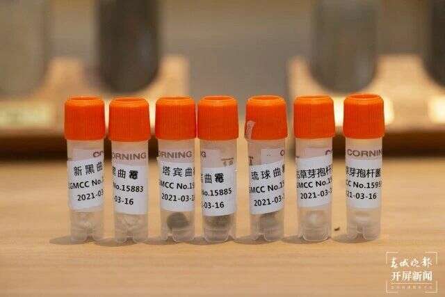 中茶云南亮相中国航天大会 共绘茶与航天科技融合新蓝图