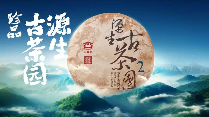 珍品启新，鉴藏未来 大益茶新品源生古茶园惊喜亮相