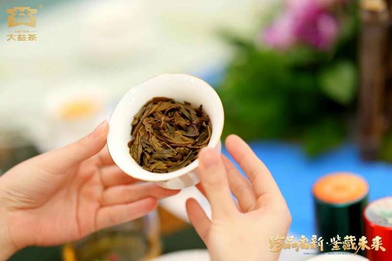 珍品启新，鉴藏未来 大益茶新品源生古茶园惊喜亮相