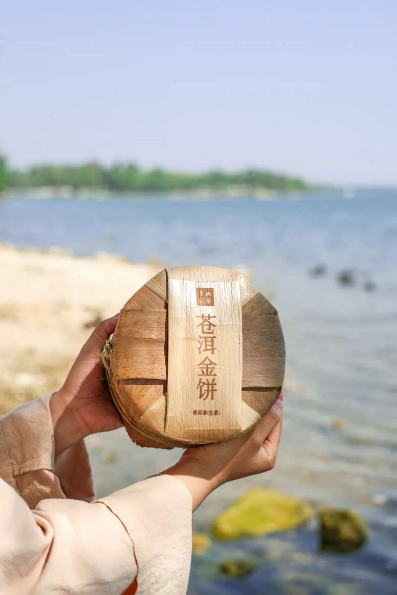 下关苍洱金饼 苍山蕴金 洱海凝韵 续写传奇篇章