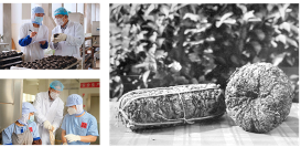 下关苍洱金饼 苍山蕴金 洱海凝韵 续写传奇篇章