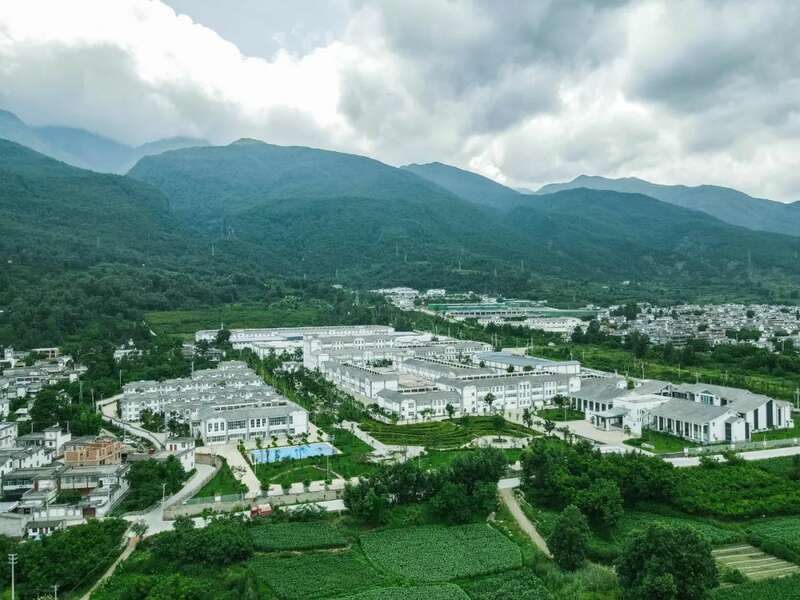 下关苍洱金饼 苍山蕴金 洱海凝韵 续写传奇篇章