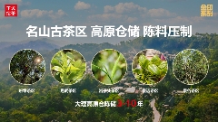 下关苍洱金饼 苍山蕴金 洱海凝韵 续写传奇篇章