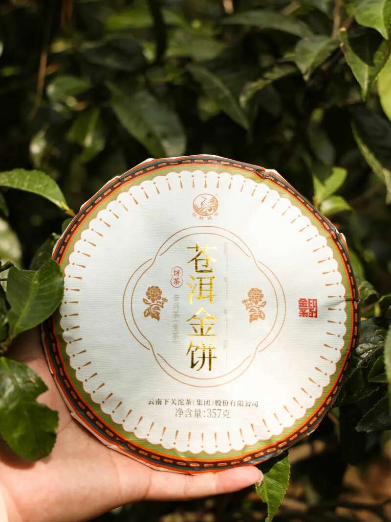 下关苍洱金饼 苍山蕴金 洱海凝韵 续写传奇篇章