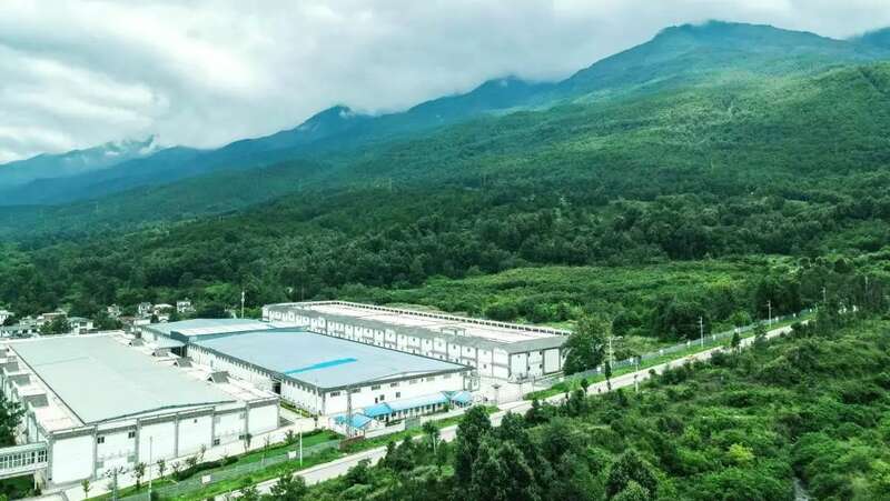 下关苍洱金饼 苍山蕴金 洱海凝韵 续写传奇篇章