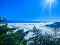 在白莺山，与茶香云海共赴一场冬日约会