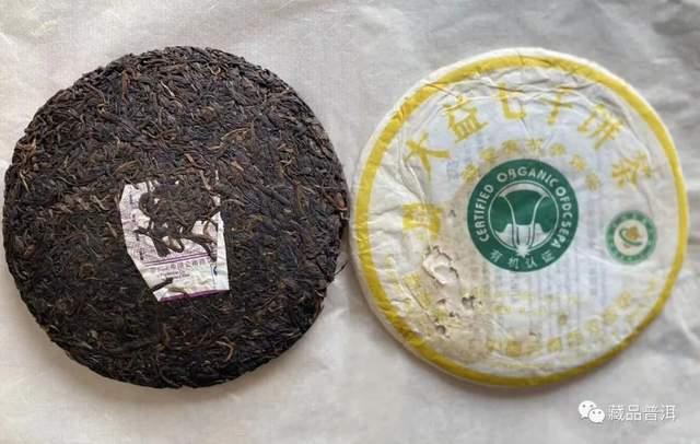 班章大白菜停产真相揭秘 末代白菜背后的历史原因