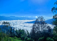 在白莺山，与茶香云海共赴一场冬日约会