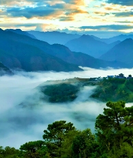 在白莺山，与茶香云海共赴一场冬日约会