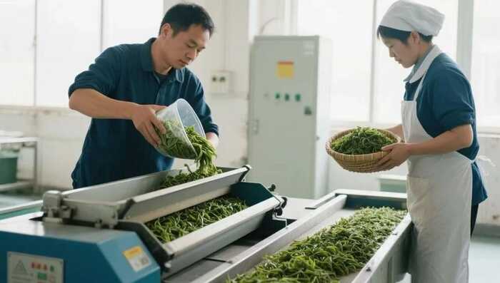 平昌青芽茶制作技艺简介