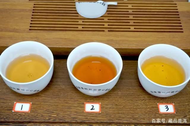 普洱茶新手入门指南：三个核心技巧避免踩坑