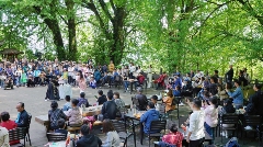 人间四月天，赴名山之约，品春茶之韵