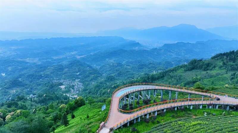 人间四月天，赴名山之约，品春茶之韵