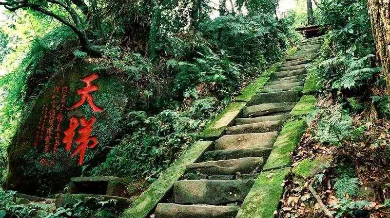 人间四月天，赴名山之约，品春茶之韵