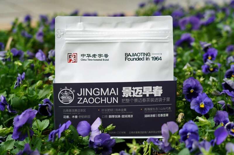 景迈早春 新品上市  头春头采无限续杯，春风入盏山水忘言