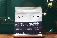 景迈早春 新品上市  头春头采无限续杯，春风入盏山水忘言