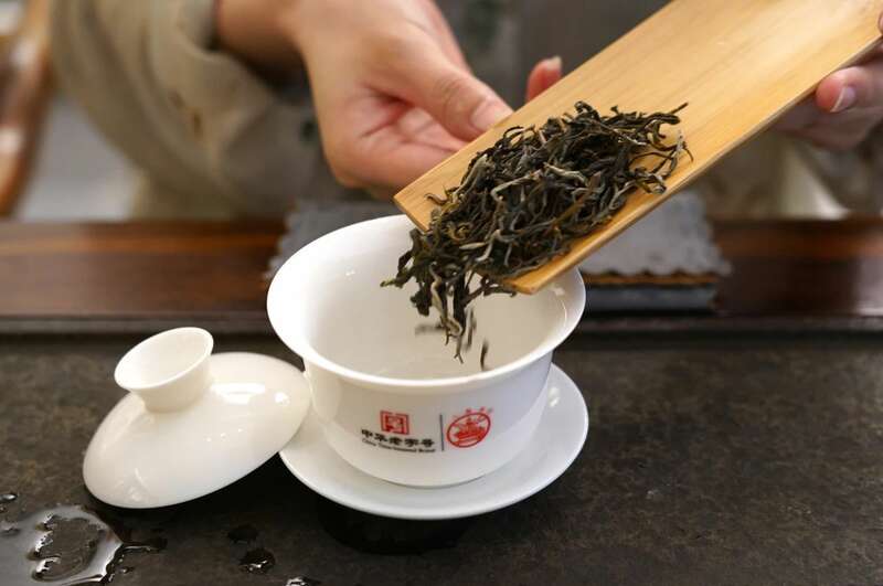 景迈早春 新品上市  头春头采无限续杯，春风入盏山水忘言