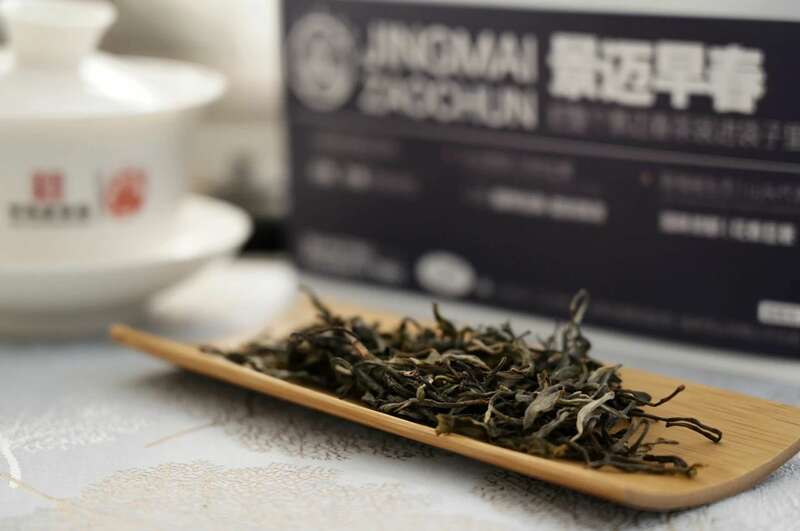 景迈早春 新品上市  头春头采无限续杯，春风入盏山水忘言