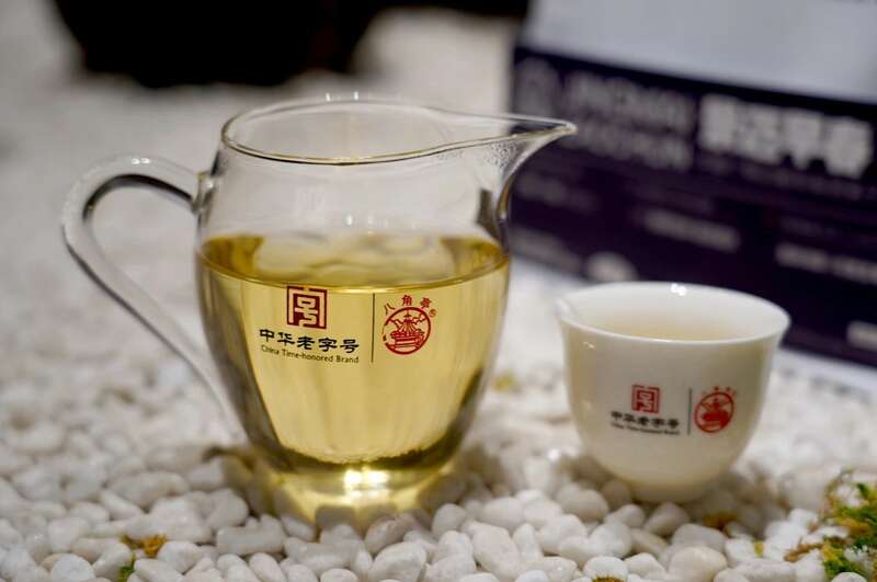 景迈早春 新品上市  头春头采无限续杯，春风入盏山水忘言