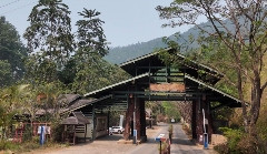 景迈早春 新品上市  头春头采无限续杯，春风入盏山水忘言