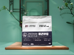 景迈早春 新品上市  头春头采无限续杯，春风入盏山水忘言