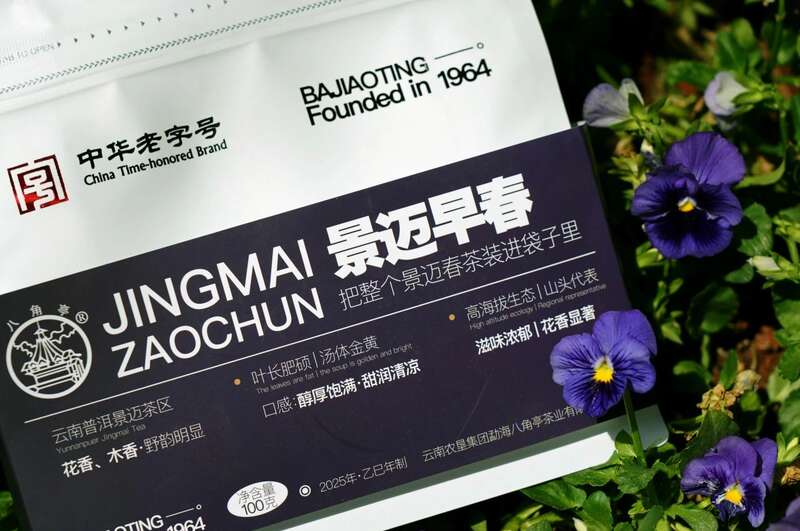 景迈早春 新品上市  头春头采无限续杯，春风入盏山水忘言