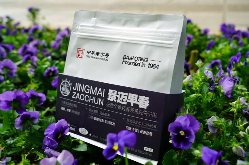 景迈早春 新品上市  头春头采无限续杯，春风入盏山水忘言