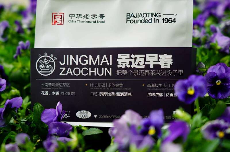 景迈早春 新品上市  头春头采无限续杯，春风入盏山水忘言