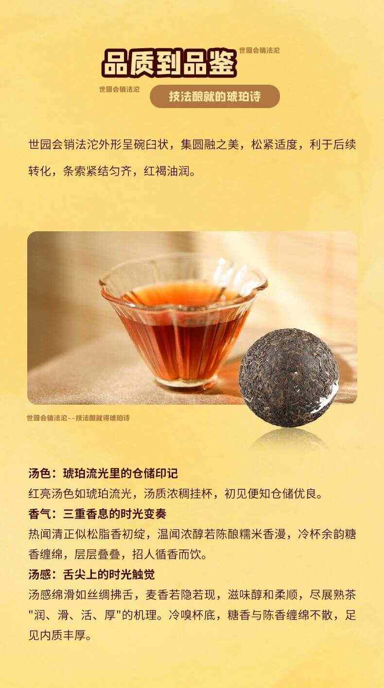 松脂香：北京Expo2019典藏销法沱