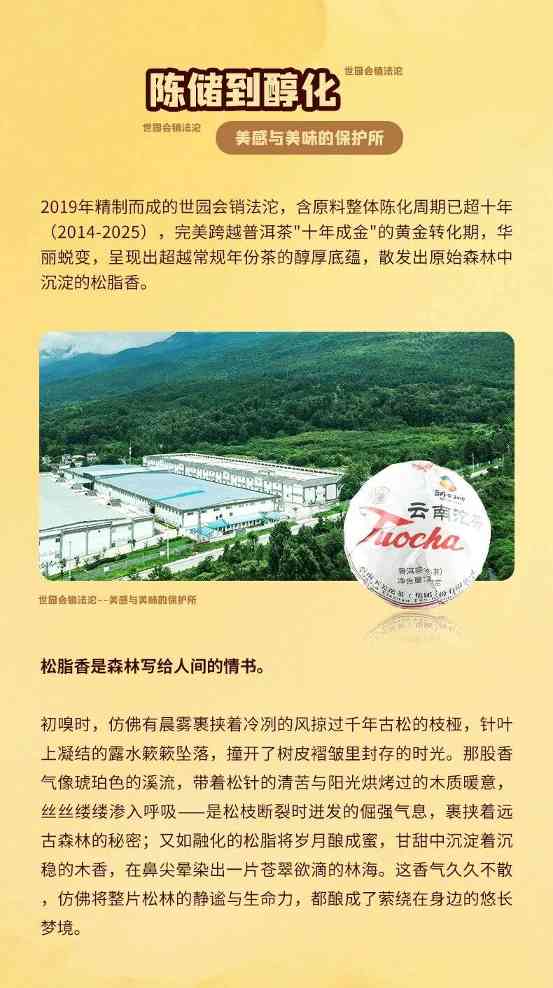 松脂香：北京Expo2019典藏销法沱