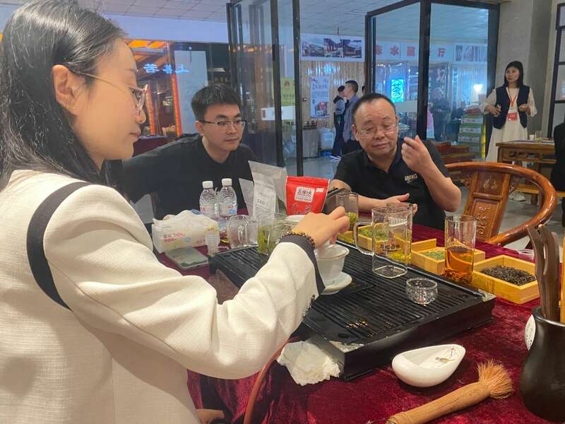 聚焦茶博会 正安白茶亮相茶博会：香茗雅韵 共绘新篇