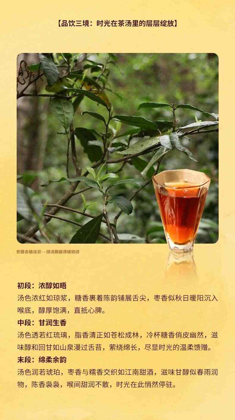 松脂香：北京Expo2019典藏销法沱