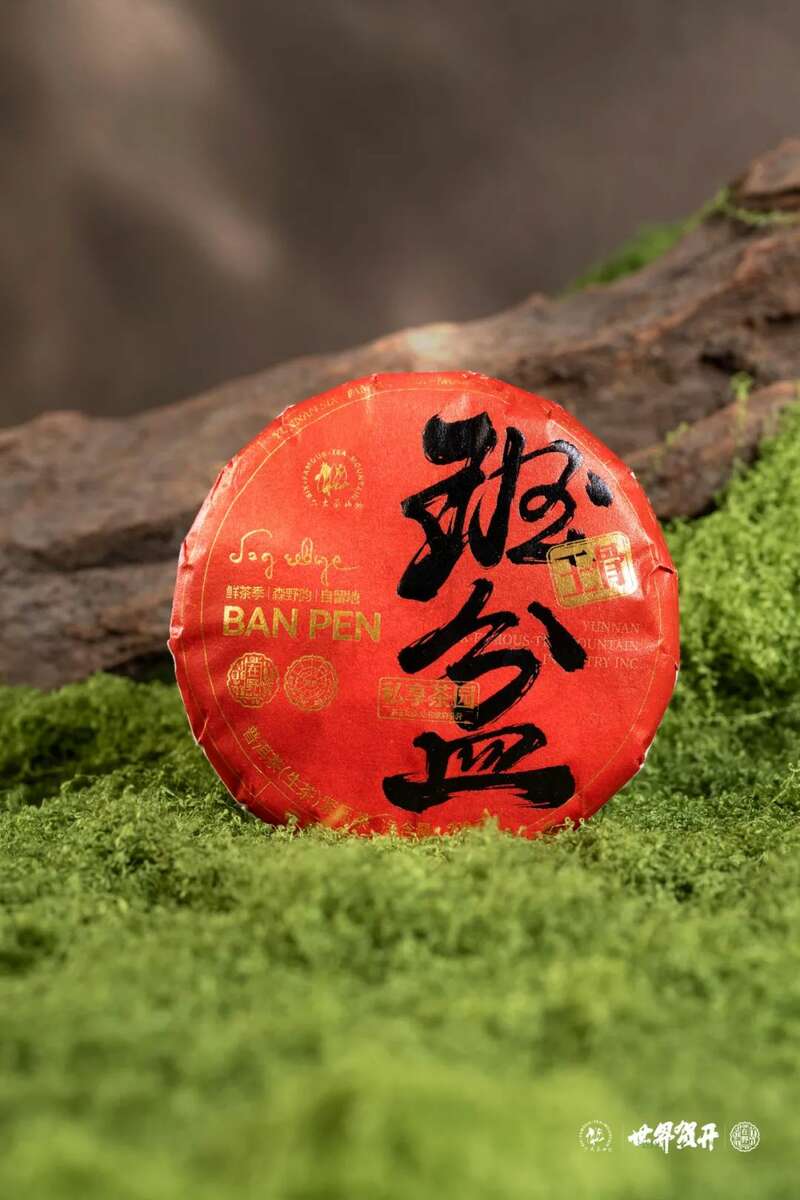 六大茶山在野·班盆王骨 | 普洱茶野性的魅力！正式上市！
