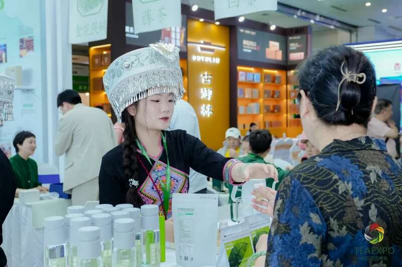 热度爆棚！华巨臣第15届武汉茶博会首日现场直击！