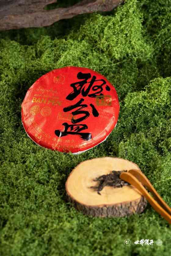 六大茶山在野·班盆王骨 | 普洱茶野性的魅力！正式上市！