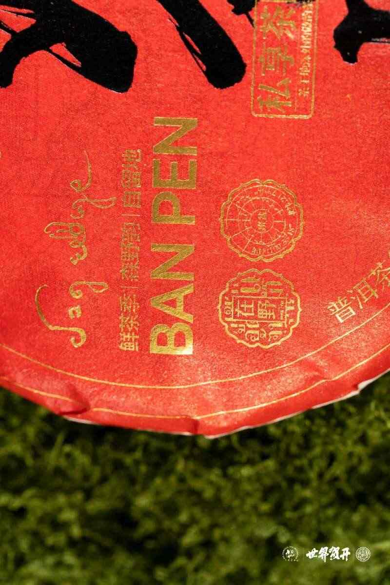 六大茶山在野·班盆王骨 | 普洱茶野性的魅力！正式上市！