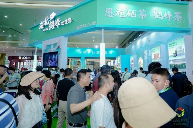 热度爆棚！华巨臣第15届武汉茶博会首日现场直击！