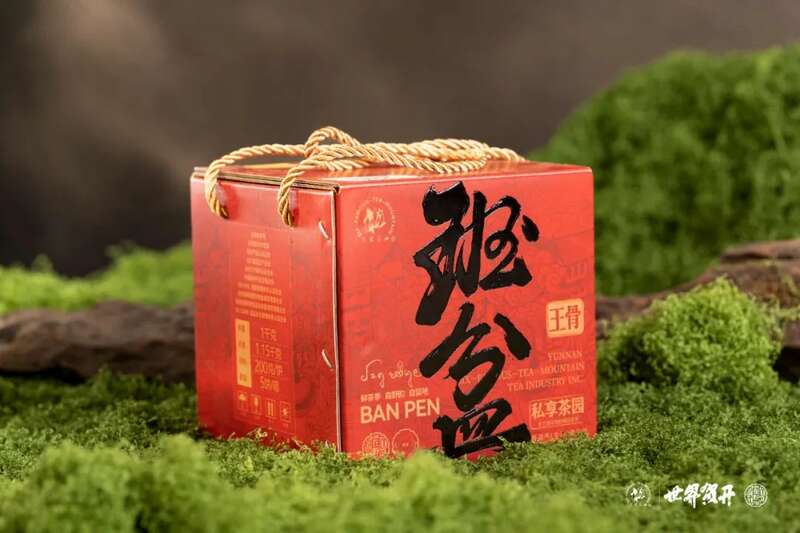 六大茶山在野·班盆王骨 | 普洱茶野性的魅力！正式上市！