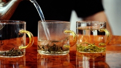 芦山高山茶园“秘境” 从茶园到茶杯的春日之约